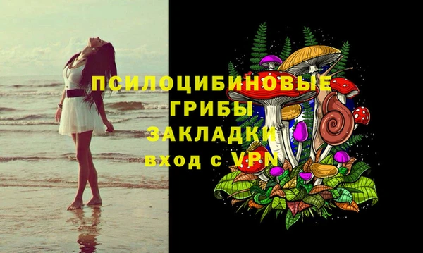 шишки Алексин