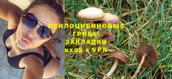 бошки Абаза